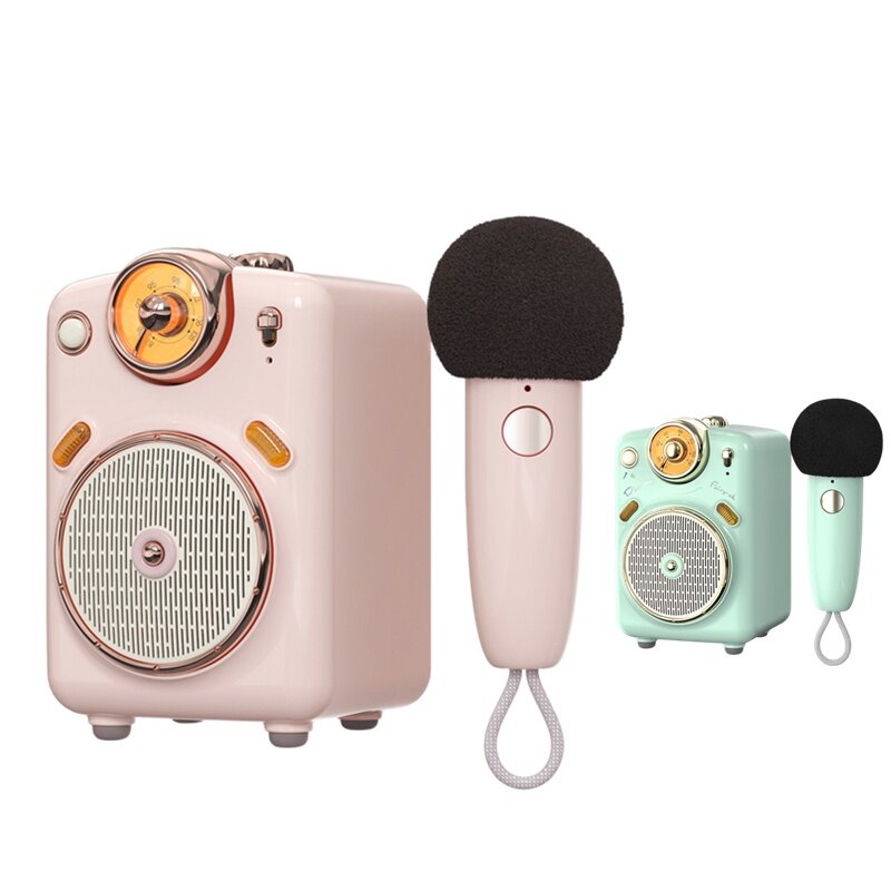 Divoom Fairy Mini Wireless Bluetooth Pink Portable Speakers Subwoofer Speaker Audio with Pink Mini Karaoke Condenser Microphone Mic Speaker